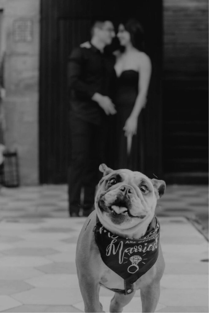 fye_Mesa de trabajo 1