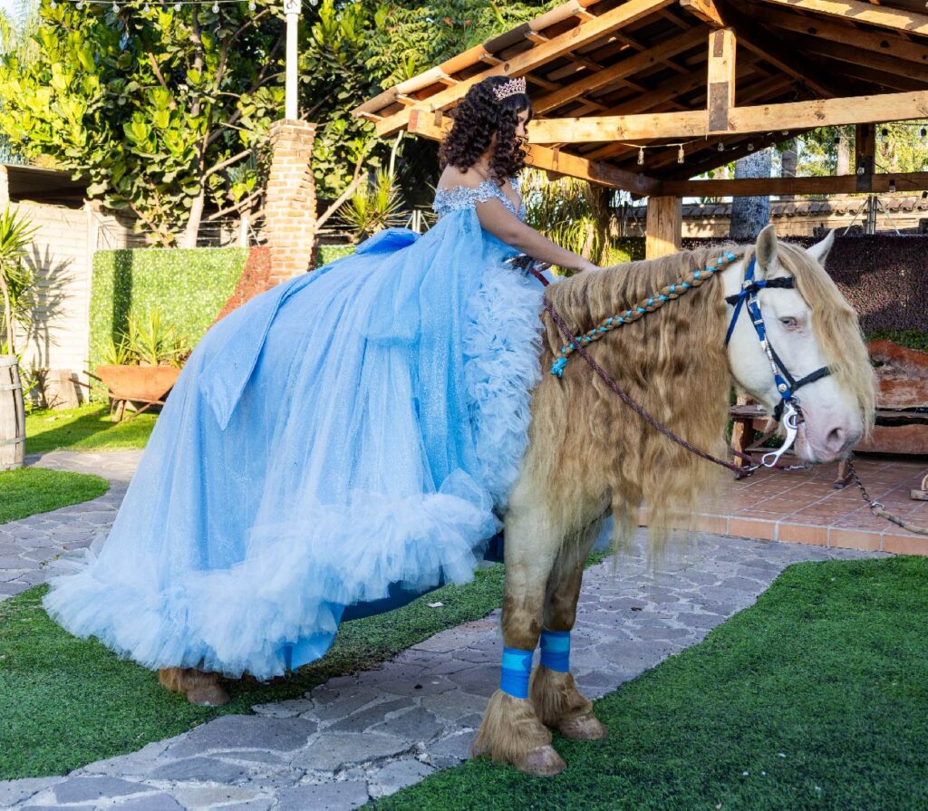 iva_Mesa de trabajo 1