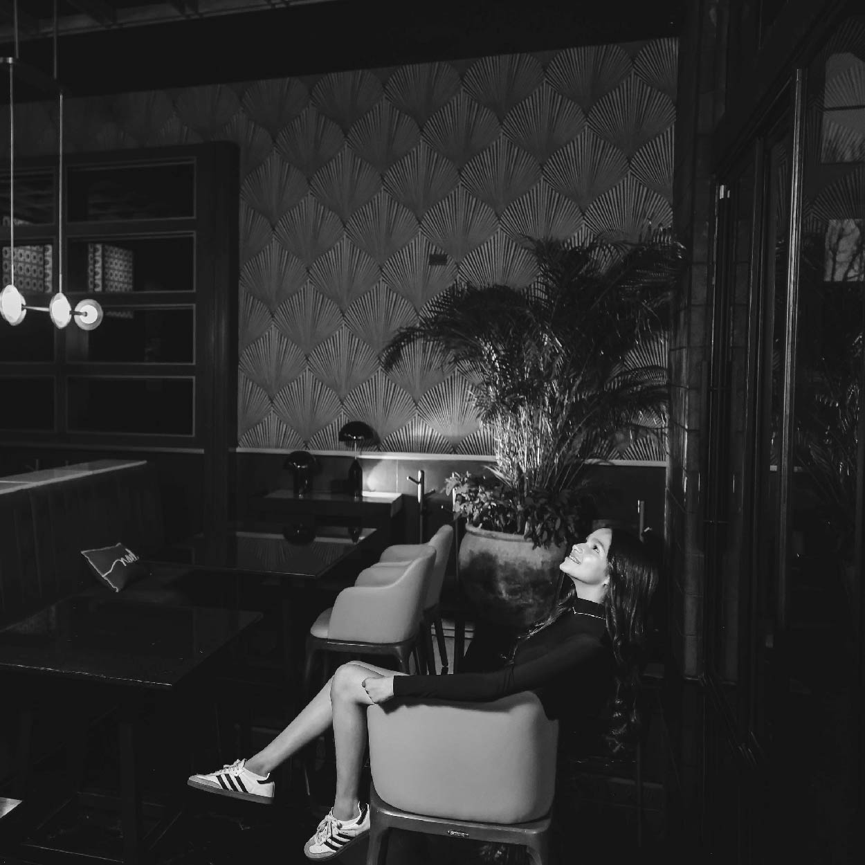 dan_Mesa de trabajo 1