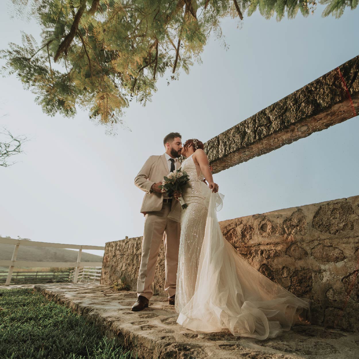 dyjf_Mesa de trabajo 1