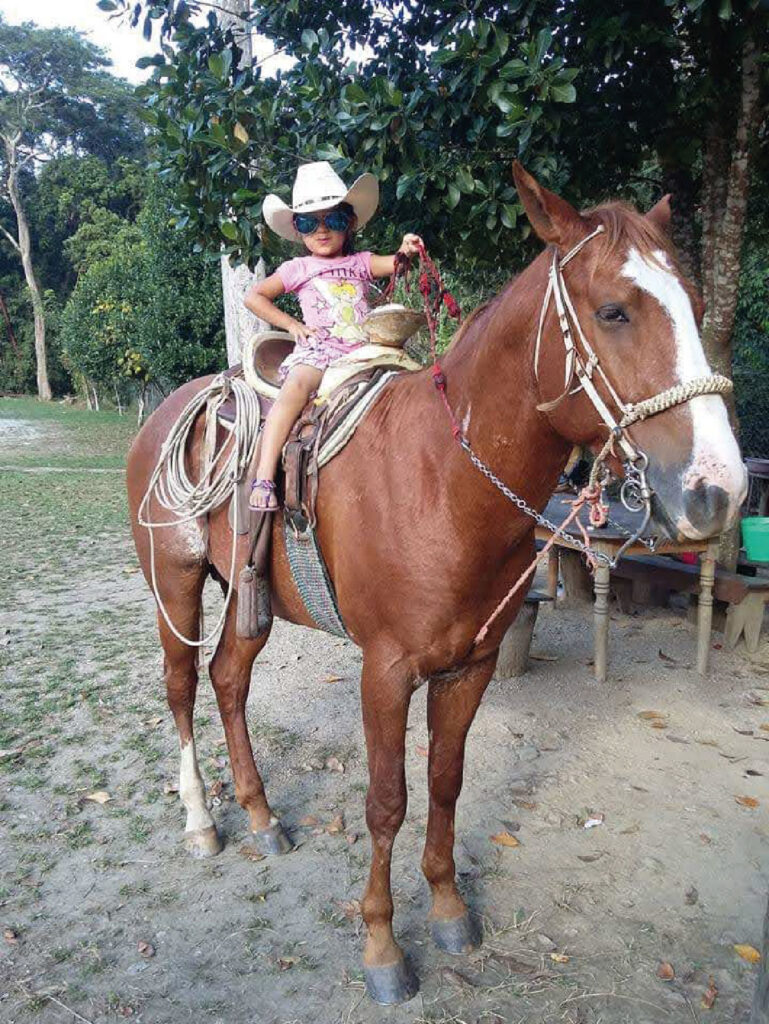 cristel_Mesa de trabajo 1